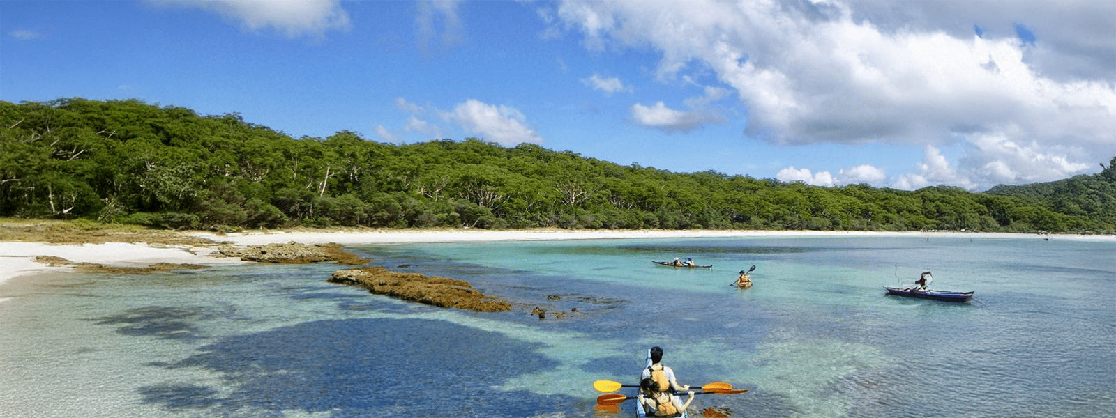 Bay and Bush Cottages