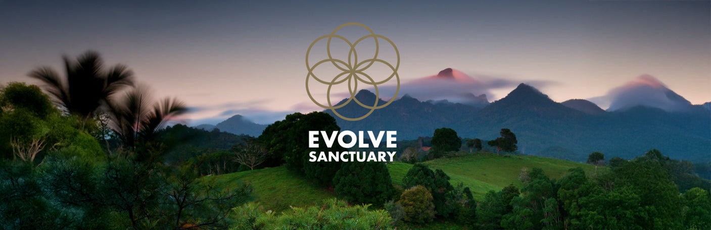 Evolve Sanctuary rainforest retreat in Northern Rivers NSW, featuring creekside meditation, eco cabins, and wellness retreats hosted with Pete Evans.