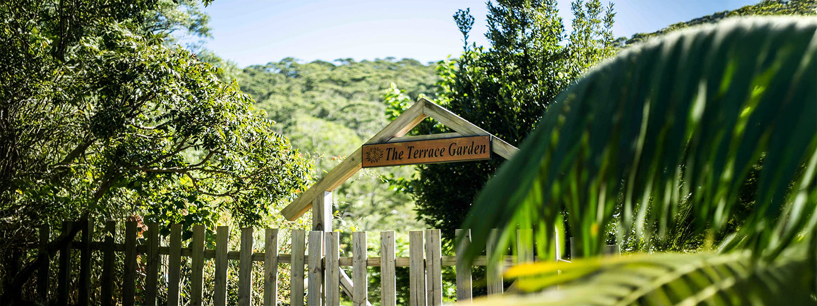 Heart & Soul Retreat