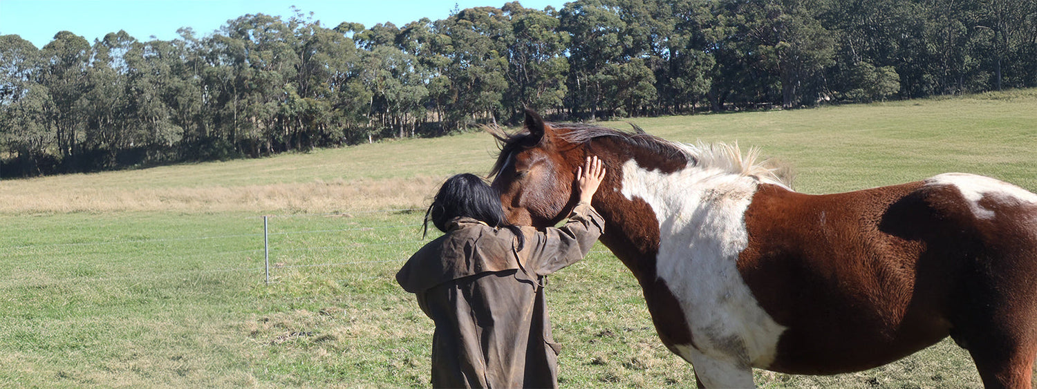 Highlands Centre for Healing