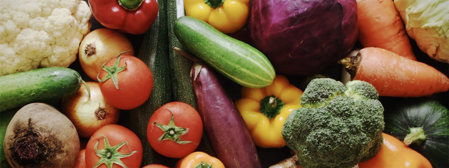Vegetable Gardening Workshop