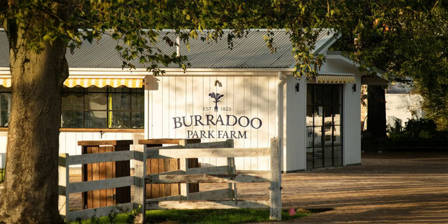 Buradoo Park Farm Three Blue Ducks Annie Cannon-Brookes