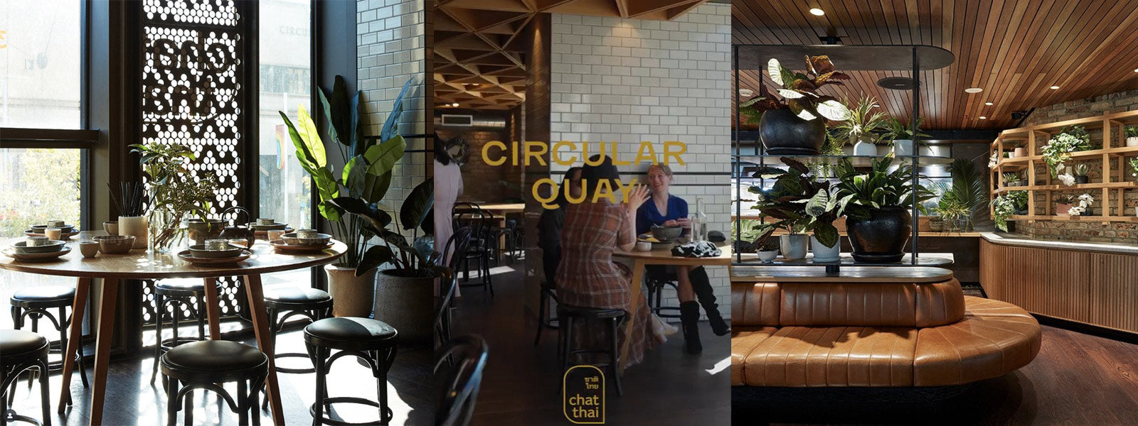 Interior of Chat Thai Circular Quay restaurant with timber ceilings, lush indoor plants, leather seating, and diners enjoying organic Thai lunch and dinner.