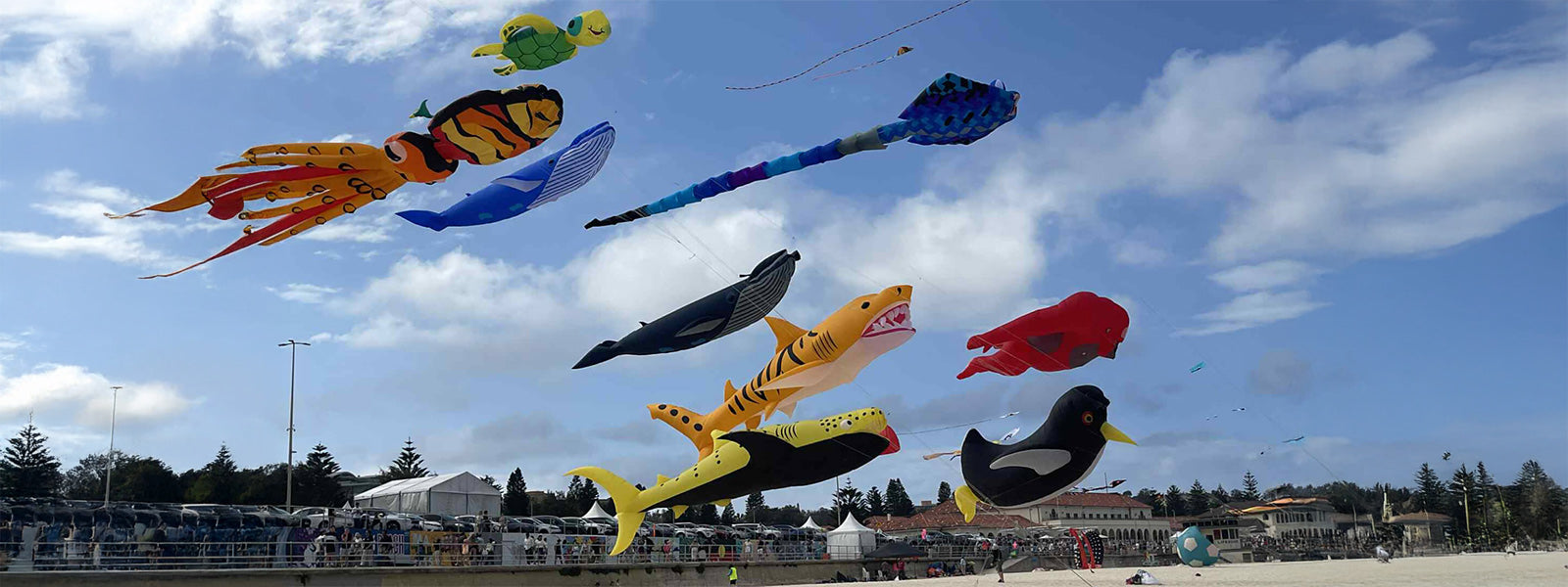 Festival of the winds bondi beach