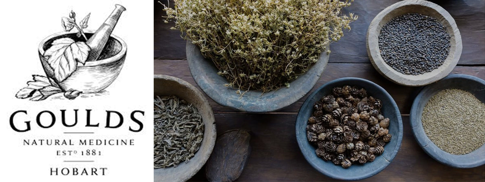 Goulds Medicine Hobart