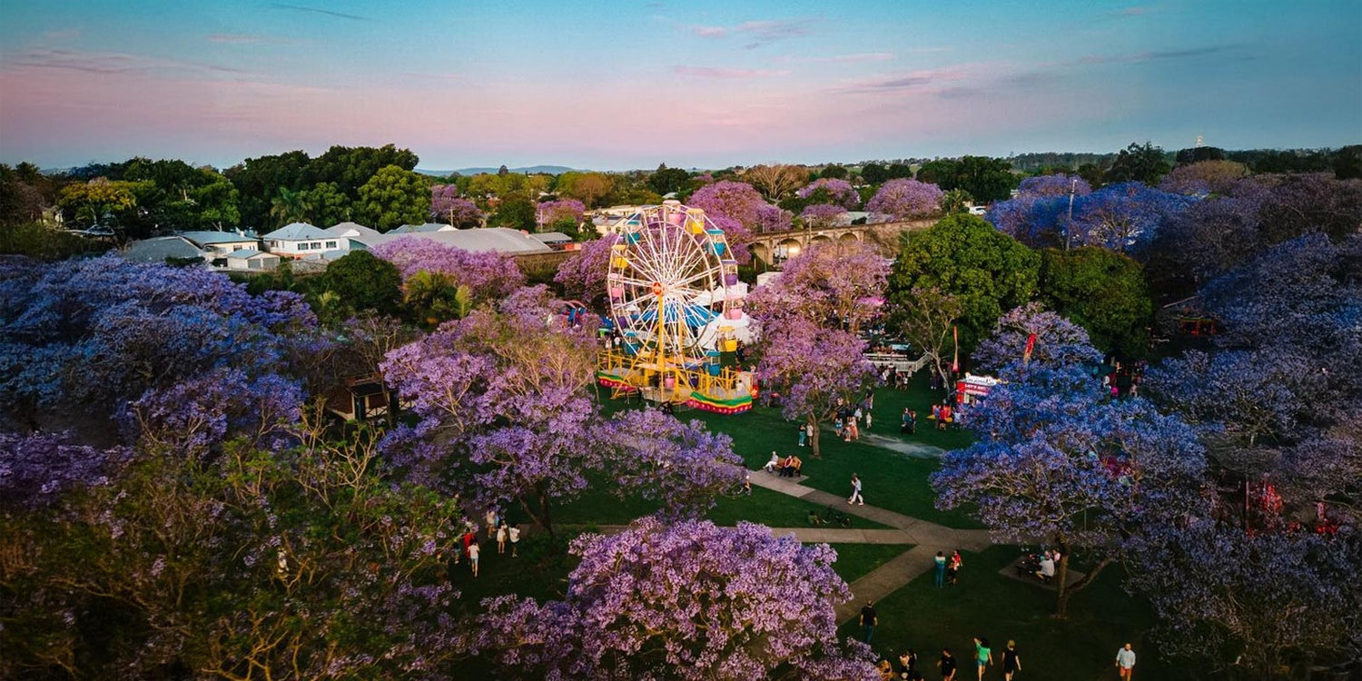 Grafton Jacaranda Festival