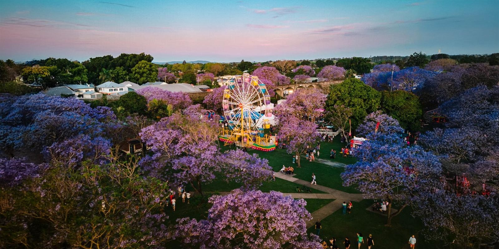 Grafton Jacaranda Festival