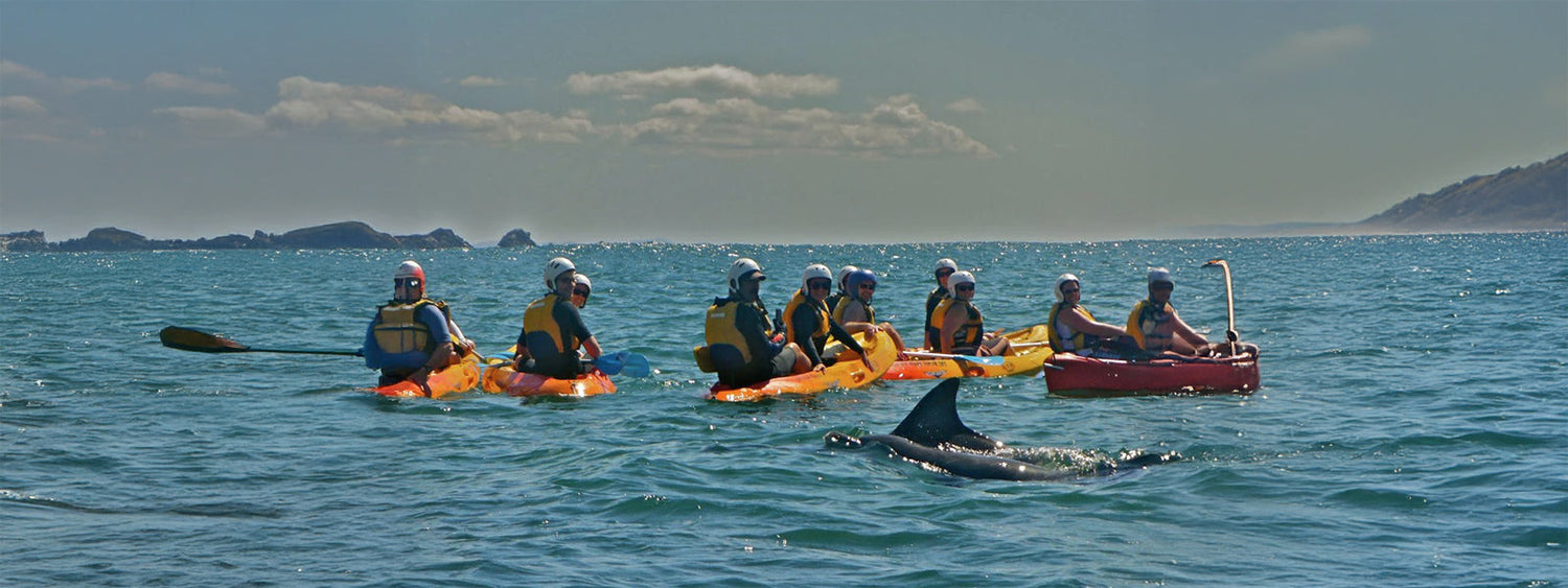 Byron Bay Go Sea Kayak Tour – Did We Mention Dolphins & Turtles?