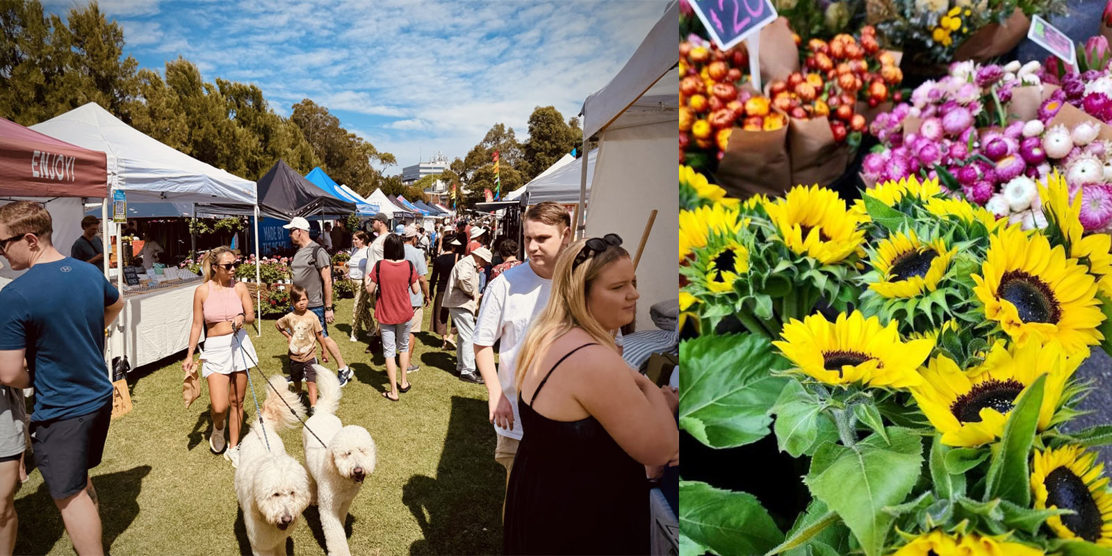 Marrickville Organic Food Market