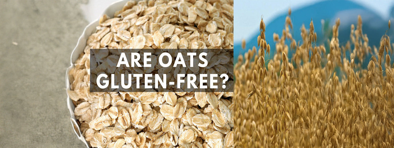 Oats: Gut-Friendly Hero or Gluten-Free Imposter?