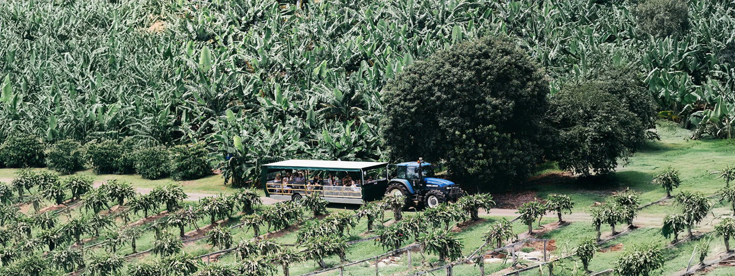 Tropical Fruit World NSW – Tours, Tickets & Reviews
