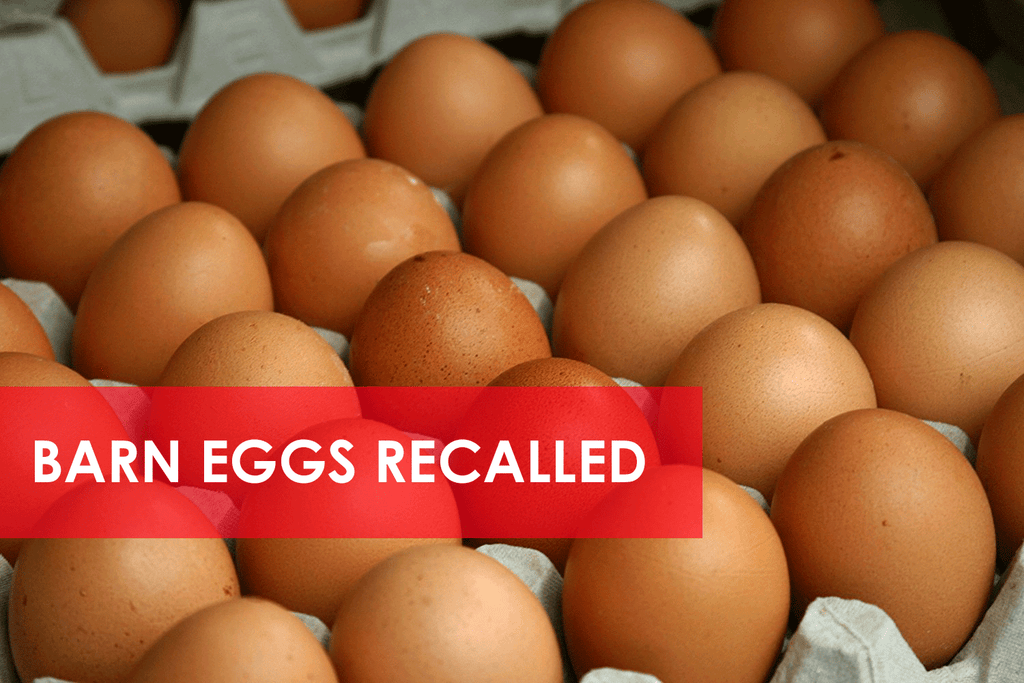 Health Warning! Eggs Sold at Retailers Across Australia are Being Recalled!
