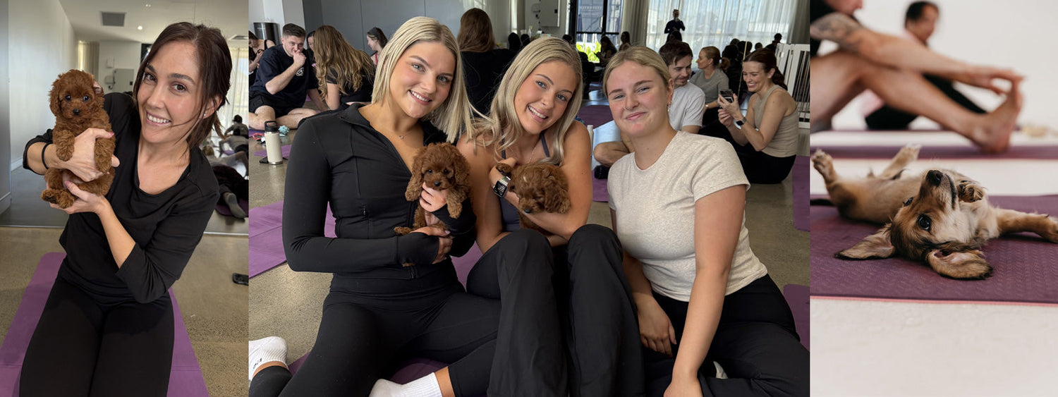 Women practising puppy yoga in Sydney with Yoga Paws, holding and playing with puppies during a Sip Coco puppy yoga class in Australia.