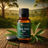 Tea Tree Oil