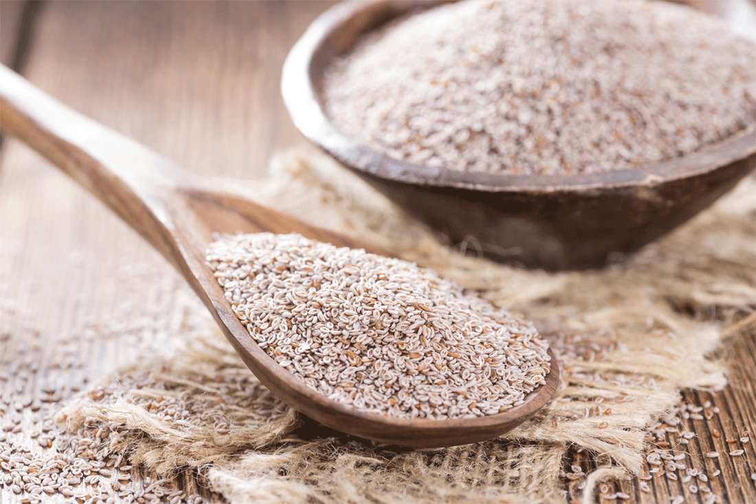 Organic Psyllium Husks — Premium Soluble Fibre